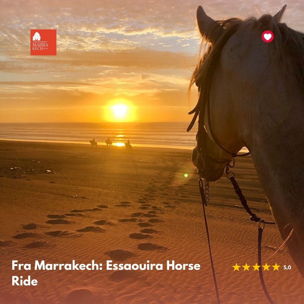 Horseback Riding in the Palmeraie