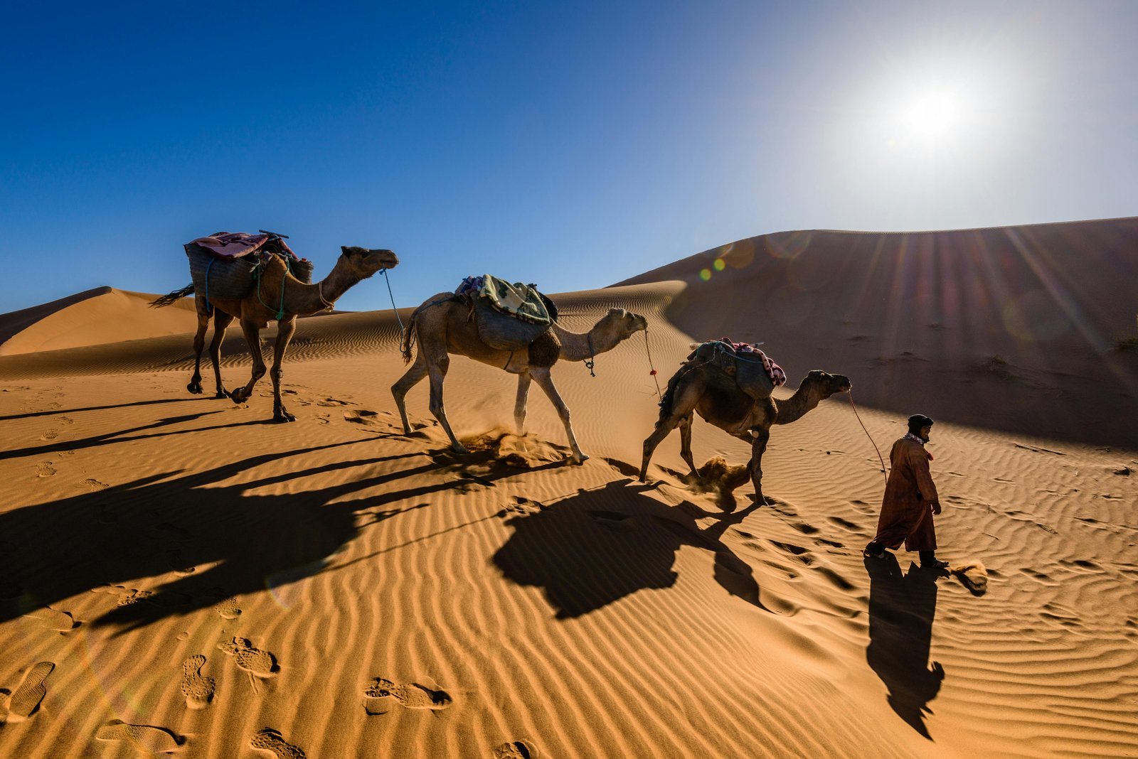 Merzouga Sahara Escape